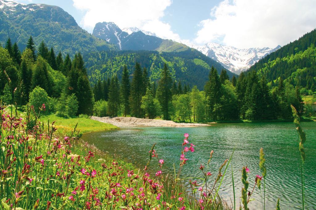 Village Vacances Les Ramayes برابوتيل المظهر الخارجي الصورة